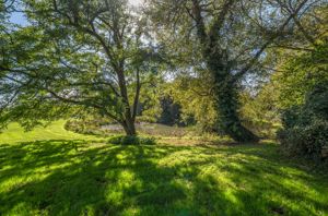 Photo 86- click for photo gallery